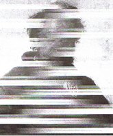 cortesia de nel amaro para klaussvandamme official website reservados todos los derechos all rights reserved vegap